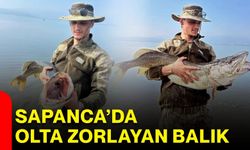 Sapanca’da olta zorlayan balık