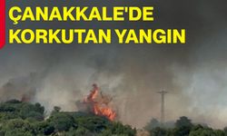 Çanakkale'de korkutan yangın