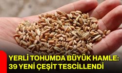 Yerli tohumda büyük hamle: 39 yeni çeşit tescillendi
