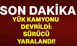 Yük kamyonu devrildi: Sürücü yaralandı