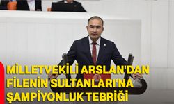 Milletvekili Arslan'dan Filenin Sultanları'na şampiyonluk tebriği