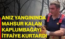 Anız yangınında mahsur kalan kaplumbağayı itfaiye kurtardı