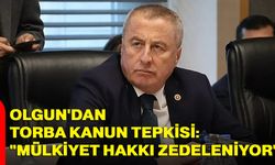 Olgun'dan Torba Kanun tepkisi: "mülkiyet hakkı zedeleniyor"