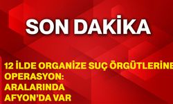 12 ilde organize suç örgütlerine operasyon: Aralarında Afyon’da var