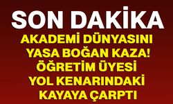Akademi dünyasını yasa boğan kaza! Öğretim Üyesi yol kenarındaki kayaya çarptı