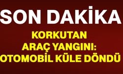 Menteşe'de korkutan araç yangını: Otomobil küle döndü