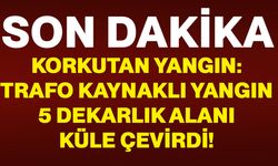 Korkutan yangın: Trafo kaynaklı yangın 5 dekarlık alanı küle çevirdi!