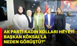 AK Parti Kadın Kolları Heyeti, Başkan Köksal'la neden görüştü?"
