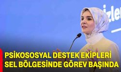Psikososyal destek ekipleri sel bölgesinde görev başında
