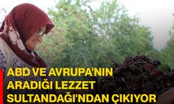 ABD ve Avrupa'nın aradığı lezzet Sultandağı'ndan çıkıyor