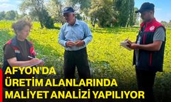 Afyon'da üretim alanlarında maliyet analizi yapılıyor