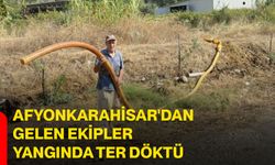Afyonkarahisar'dan gelen ekipler yangında ter döktü