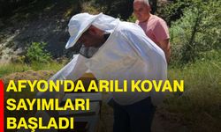 Afyon'da arılı kovan sayımları başladı