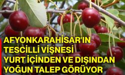 Afyonkarahisar'ın tescilli vişnesi yurt içinden ve dışından yoğun talep görüyor