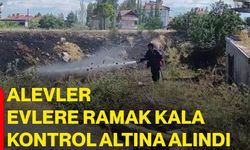 Alevler evlere ramak kala kontrol altına alındı