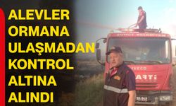 Alevler ormana ulaşmadan kontrol altına alındı