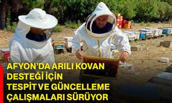Afyon’da arılı kovan desteği için tespit ve güncelleme çalışmaları sürüyor