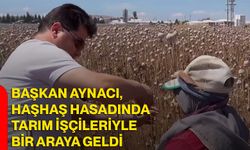 Başkan Aynacı, haşhaş hasadında tarım işçileriyle bir araya geldi