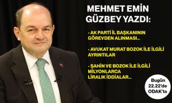 Mehmet Emin Güzbey yazdı…