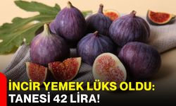 İncir yemek lüks oldu: Tanesi 42 lira!