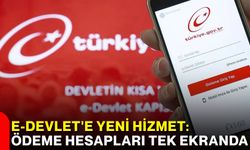 e-Devlet'e yeni hizmet: Ödeme hesapları tek ekranda