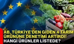 AB, Türkiye'den giden 4 tarım ürününe denetimi artırdı! Hangi ürünler listede?