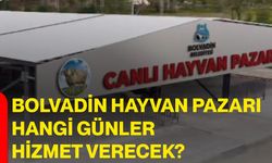 Bolvadin hayvan pazarı hangi günler hizmet verecek?