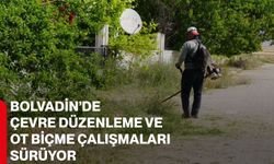 Bolvadin’de çevre düzenleme ve ot biçme çalışmaları sürüyor