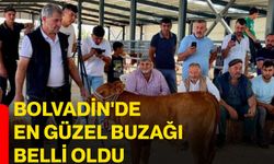 Bolvadin'de en güzel buzağı belli oldu