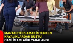 Mantar toplamak isterken kayalıklardan düştü! Cami imamı ağır yaralandı