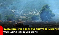 Saman balyaları alevlere teslim oldu! Tonlarca ürün kül oldu