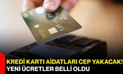 Kredi kartı aidatları cep yakacak! Yeni ücretler belli oldu