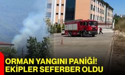 Orman yangını paniği! Ekipler seferber oldu