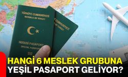 Hangi 6 meslek grubuna yeşil pasaport geliyor?