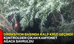 Direksiyon başında kalp krizi geçirdi! Kontrolden çıkan kamyonet ağaca savruldu