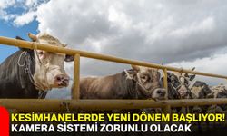 Kesimhanelerde yeni dönem başlıyor! Kamera sistemi zorunlu olacak