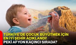 Türkiye'de çocuk büyütmek için en iyi şehir açıklandı! Peki Afyonkarahisar kaçıncı sırada?