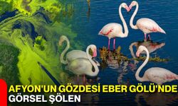 Afyon'un gözdesi Eber Gölü'nde görsel şölen