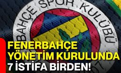 Fenerbahçe yönetim kurulunda 7 istifa birden!