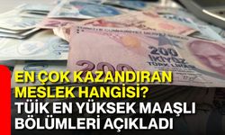 En çok kazandıran meslek hangisi? TÜİK en yüksek maaşlı bölümleri açıkladı