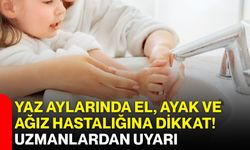Yaz aylarında el, ayak ve ağız hastalığına dikkat! Uzmanlardan uyarı