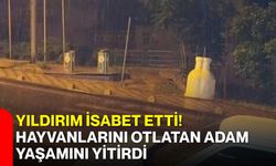 Yıldırım isabet etti! Hayvanlarını otlatan adam yaşamını yitirdi