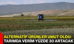Alternatif ürünler umut oldu: Tarımda verim yüzde 30 artacak