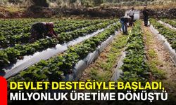 Devlet desteğiyle başladı, milyonluk üretime dönüştü
