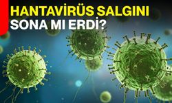 Hantavirüs salgını sona mı erdi?