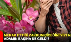 Merak ettiği zakkum çiçeğini yiyen adamın başına ne geldi?