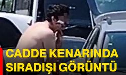 Cadde kenarında sıradışı görüntü