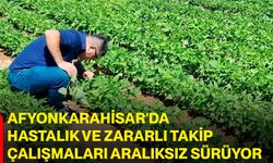 Afyonkarahisar'da hastalık ve zararlı takip çalışmaları aralıksız sürüyor