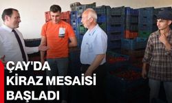 Çay'da kiraz mesaisi başladı