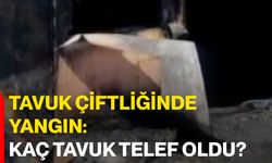 Tavuk çiftliğinde yangın: Kaç tavuk telef oldu?